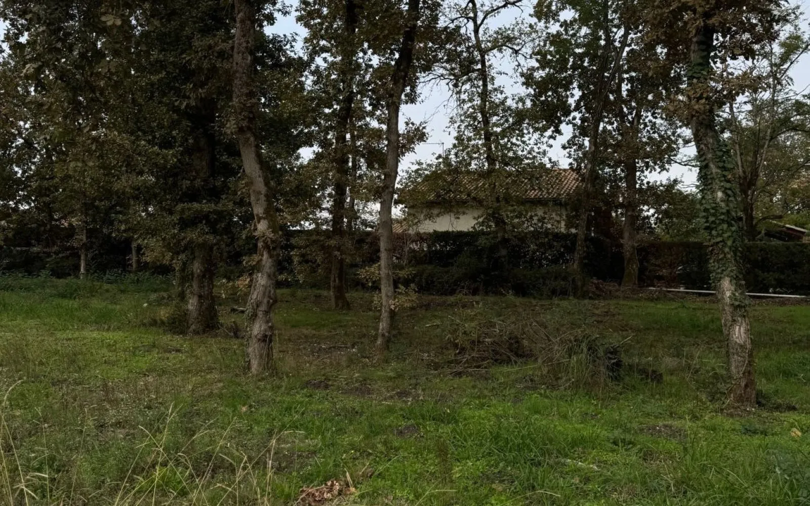 Projet de construction d'une maison 60 m² avec terrain à VERTHEUIL (33) à Vertheuil — photo 7