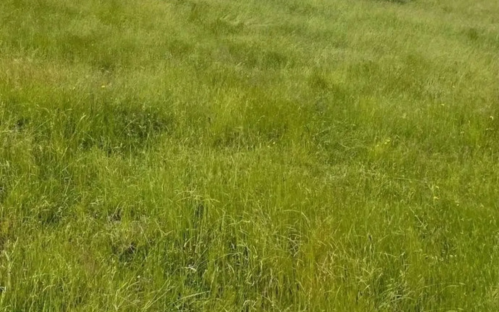 Terrain à bâtir de 500 m2 au prix de 35000 € à ECOYEUX (17) à Écoyeux — photo 1