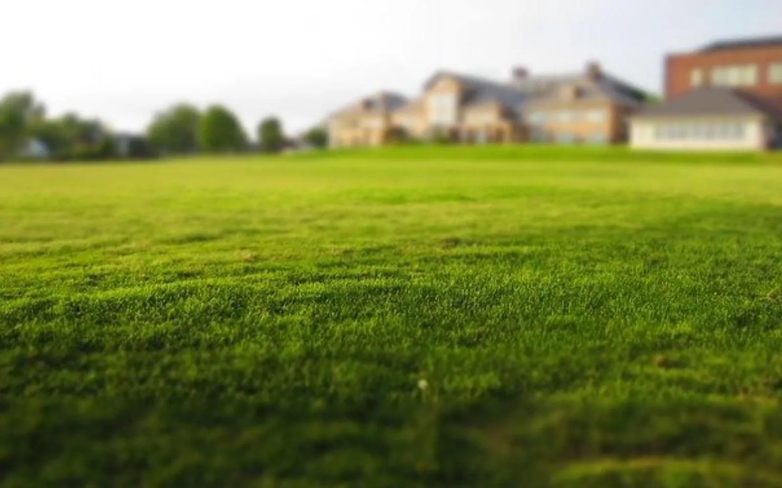 Terrain à bâtir de 650 m2 au prix de 92950 € à LES HERBIERS (85) à Herbiers — photo 1