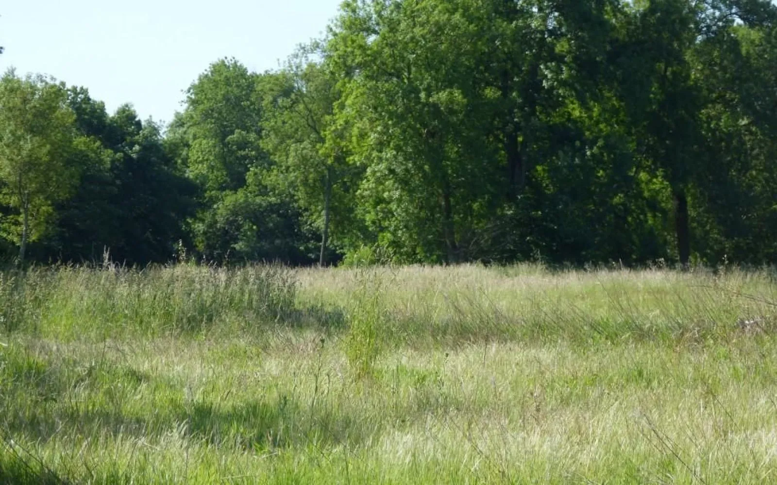 Terrain à bâtir de 568 m2 au prix de 24055 € à LONGEVES (85) à Longèves — photo 1
