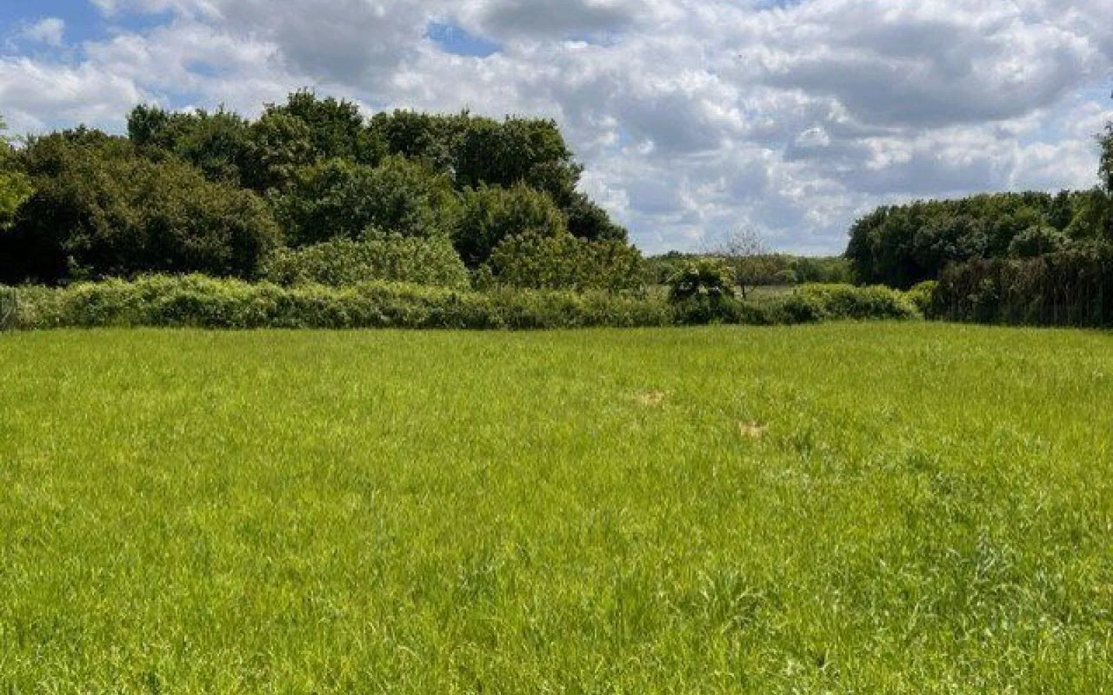 Terrain à bâtir de 575 m2 au prix de 20211 € à LONGEVES (85) à Longèves — photo 1