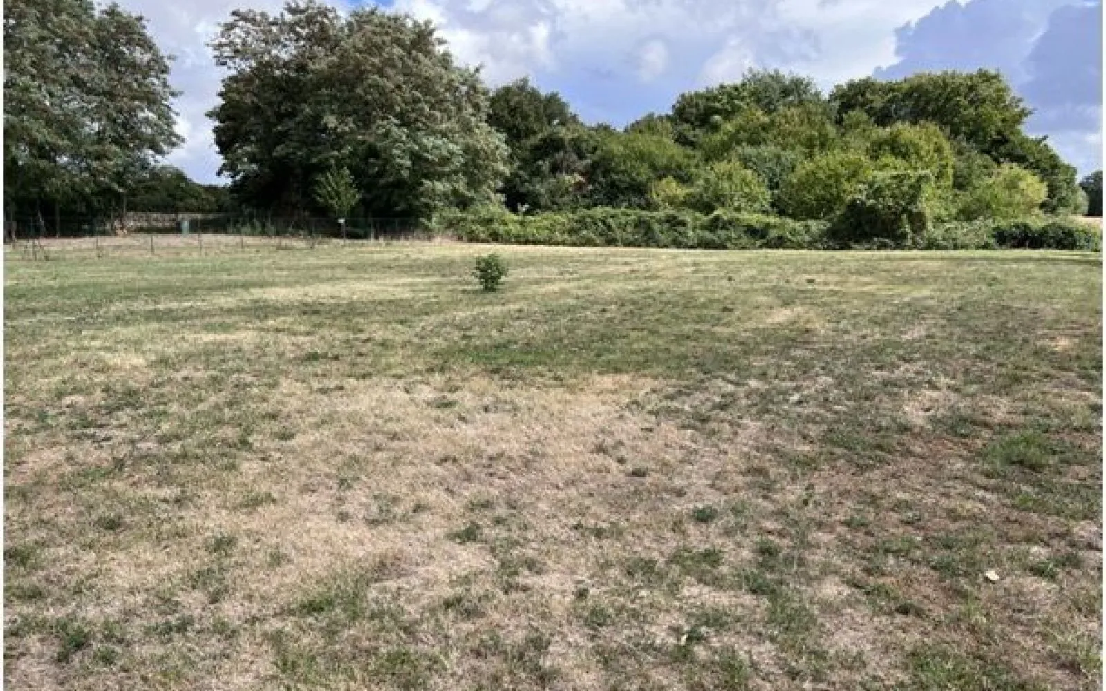 Terrain à bâtir de 1350 m2 au prix de 12200 € à SAINT-MARTIN-DU-CLOCHER (16) à Saint-Martin-du-Clocher — photo 1