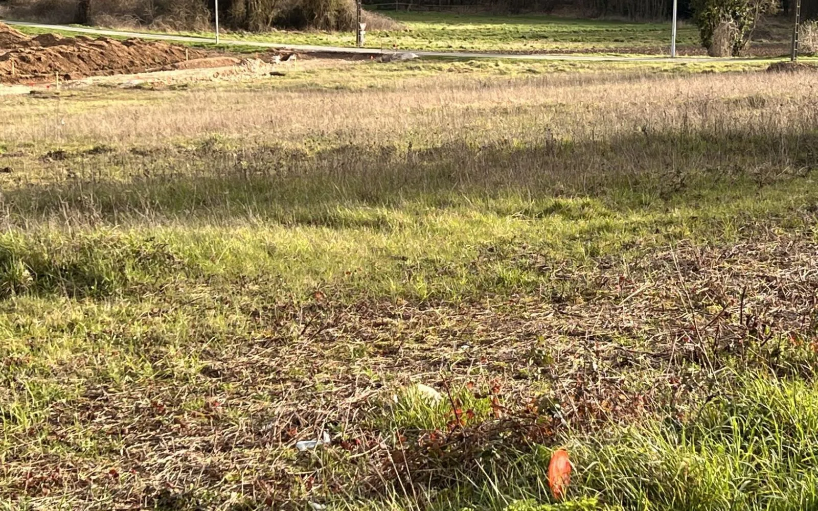 Terrain à bâtir de 601 m2 au prix de 39000 € à ANAIS (16) à Anais — photo 1