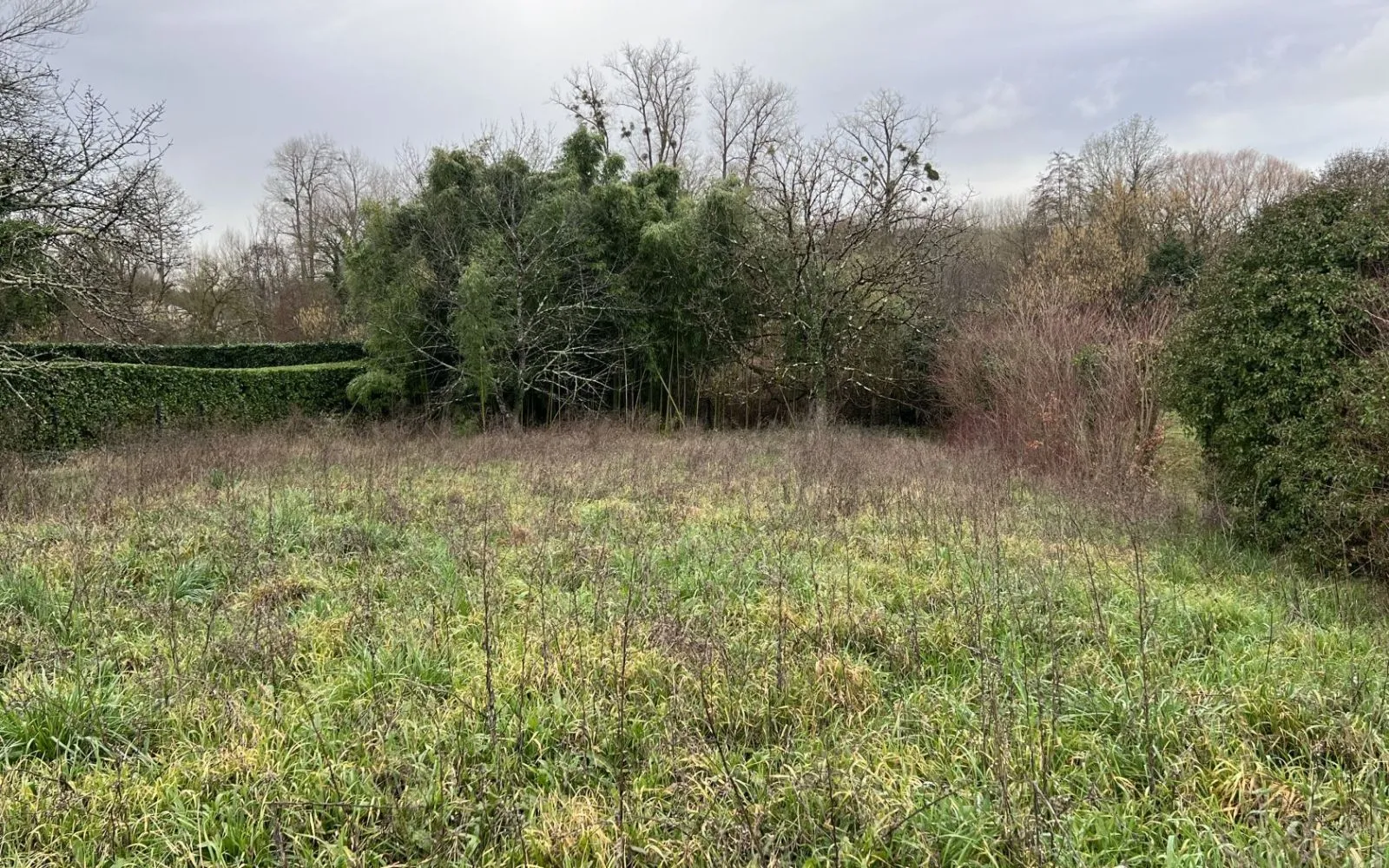 Terrain à bâtir de 2784 m2 au prix de 100000 € à ANGOULEME (16) à Angoulême — photo 1