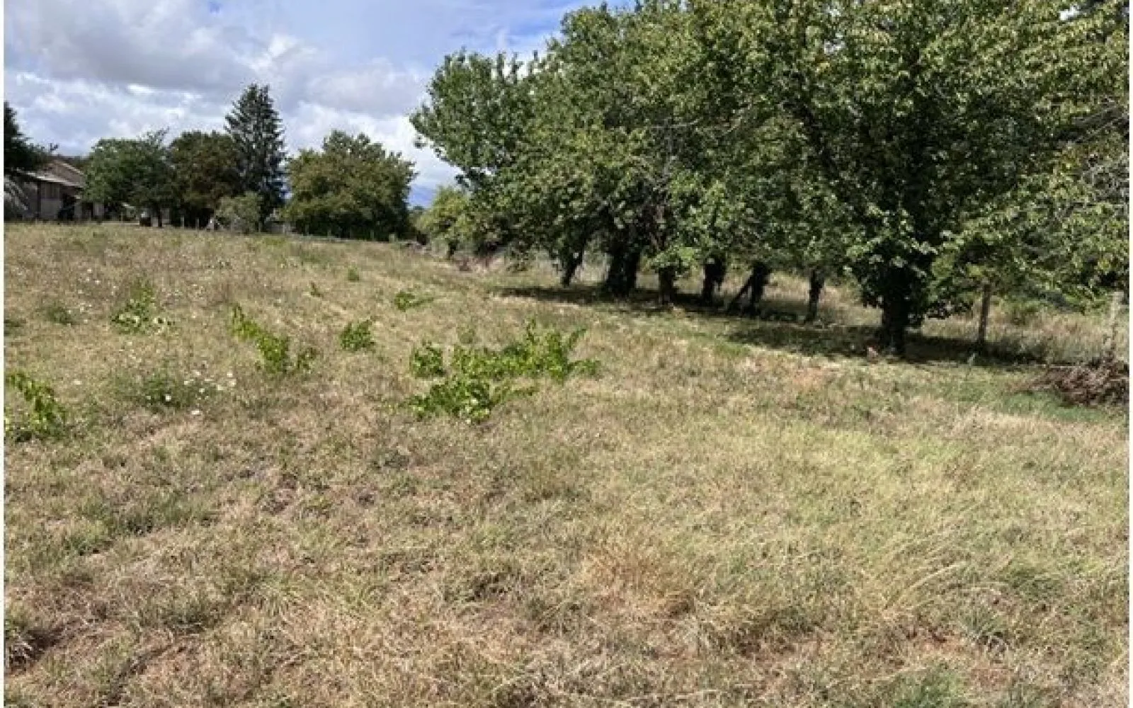 Terrain à bâtir de 2915 m2 au prix de 25000 € à SAINT-MARTIN-DU-CLOCHER (16) à Saint-Martin-du-Clocher — photo 1