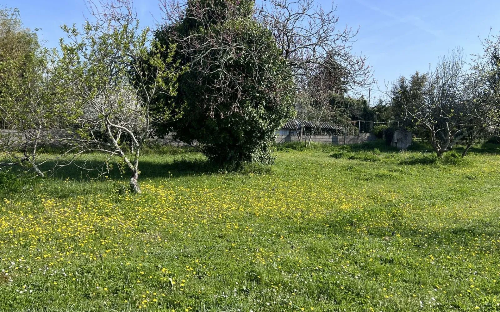 Terrain à bâtir de 439 m2 au prix de 65000 € à SOYAUX (16) à Soyaux — photo 1
