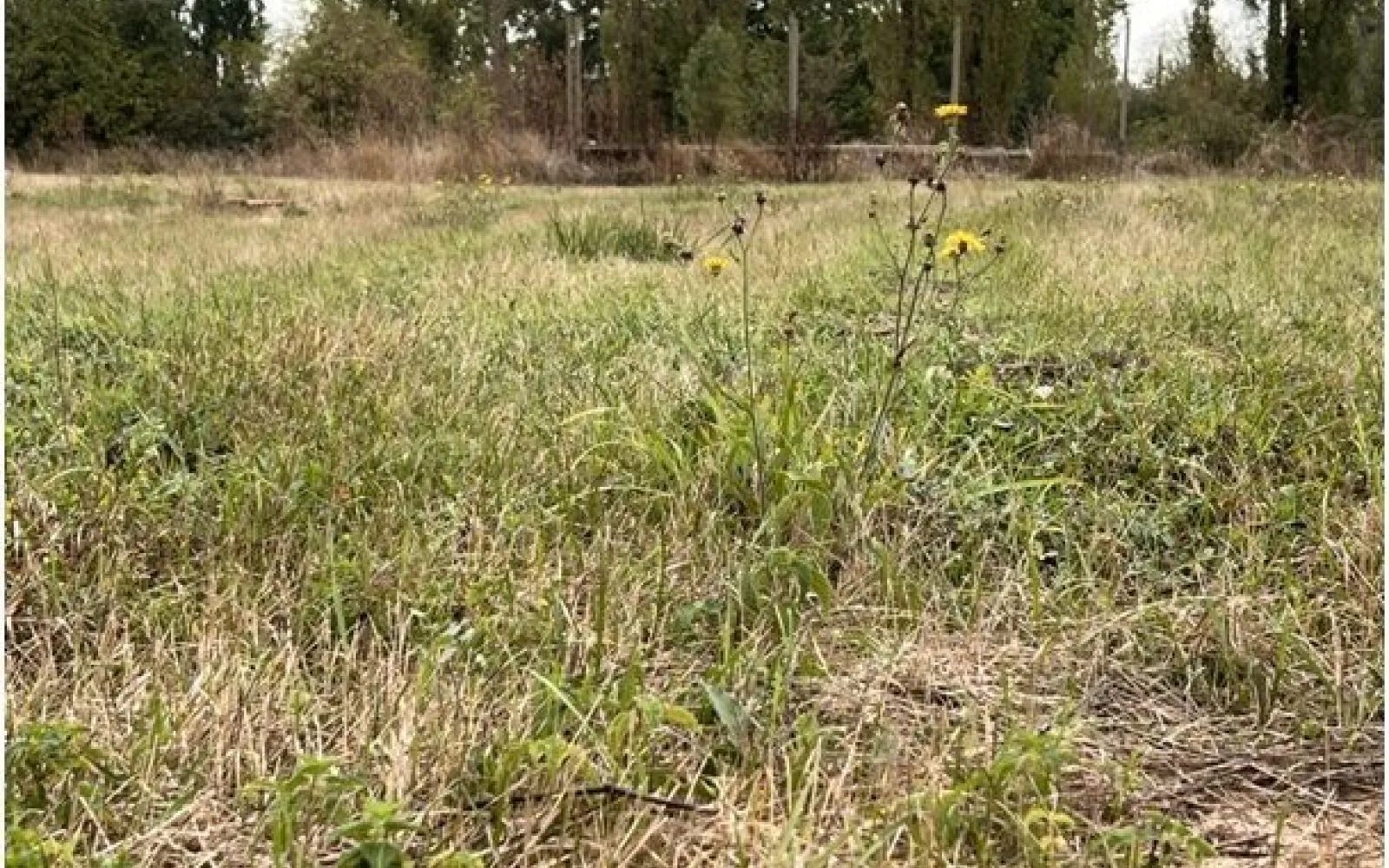 Terrain à bâtir de 2235 m2 au prix de 55000 € à AGRIS (16) à Agris — photo 1