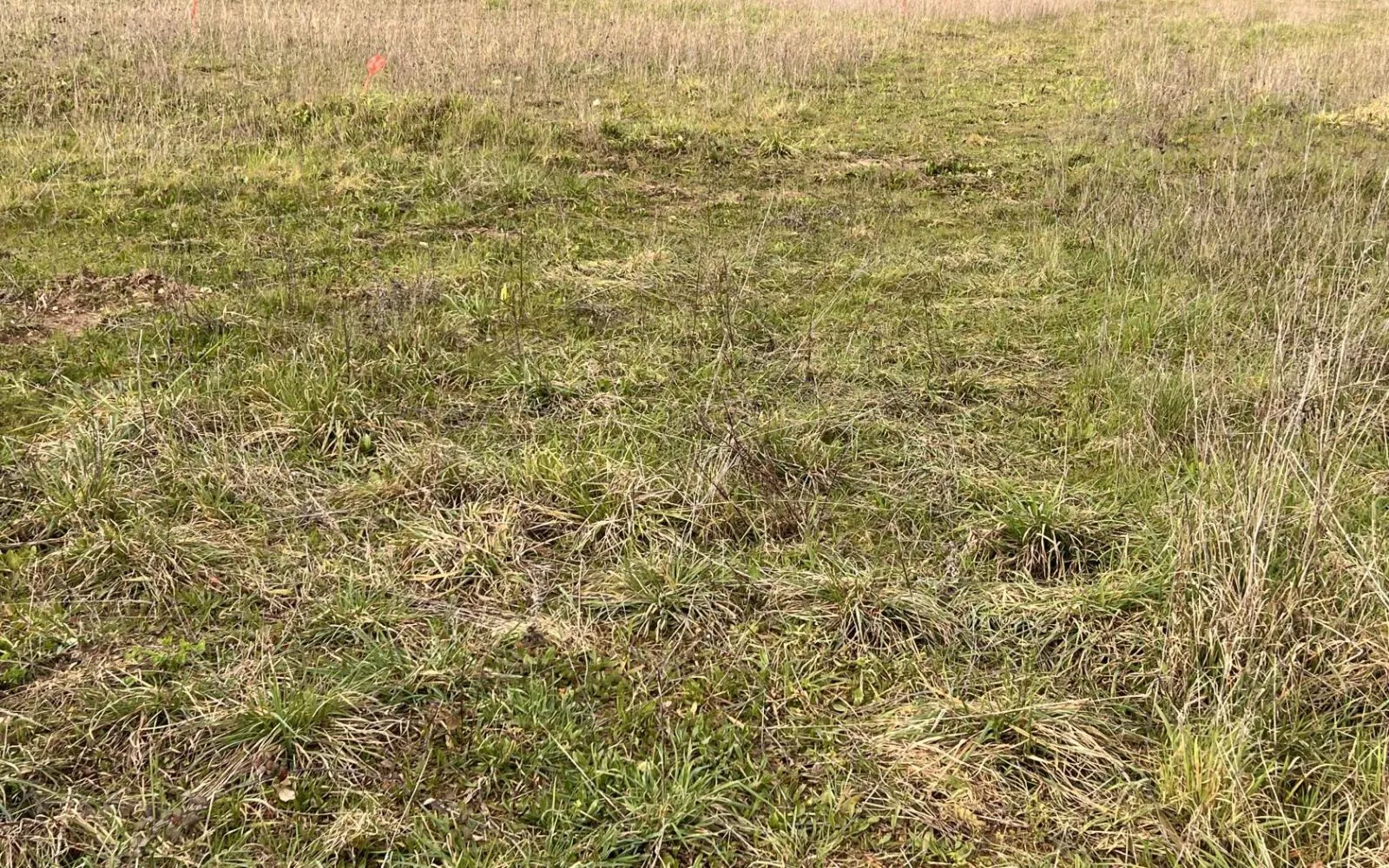 Terrain à bâtir de 928 m2 au prix de 43000 € à ANAIS (16) à Anais — photo 1