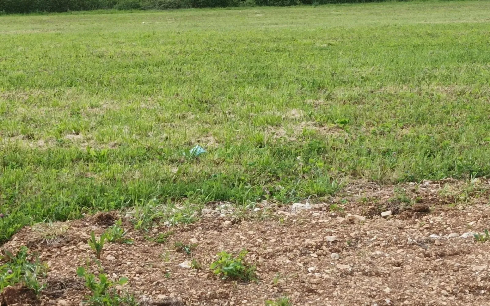 Terrain à bâtir de 480 m2 au prix de 35800 € à SAINT-SATURNIN (16) à Saint-Saturnin — photo 2