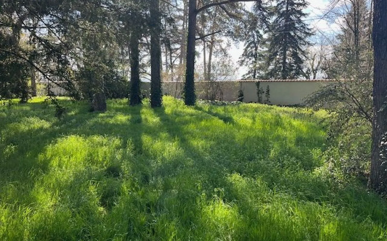 Maison 110 m² avec terrain à VEAUCHE (42) à Veauche — photo 6