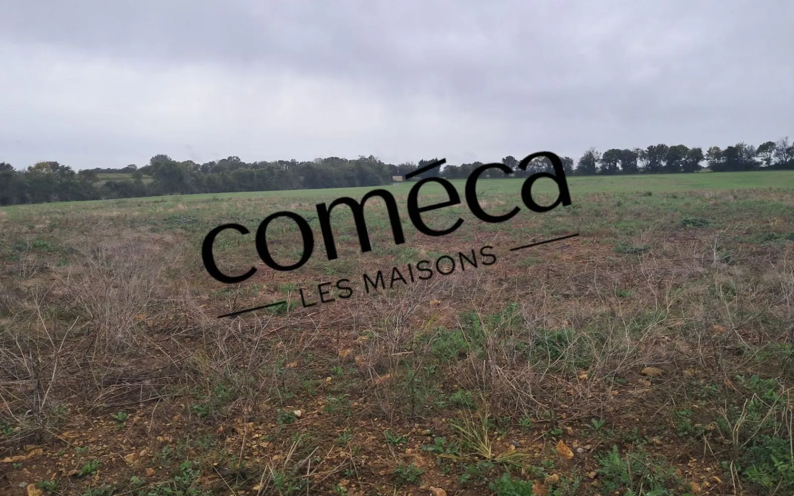 INVESTISSEMENT LOCATIF à Saint-Benoist-sur-Mer — photo 6