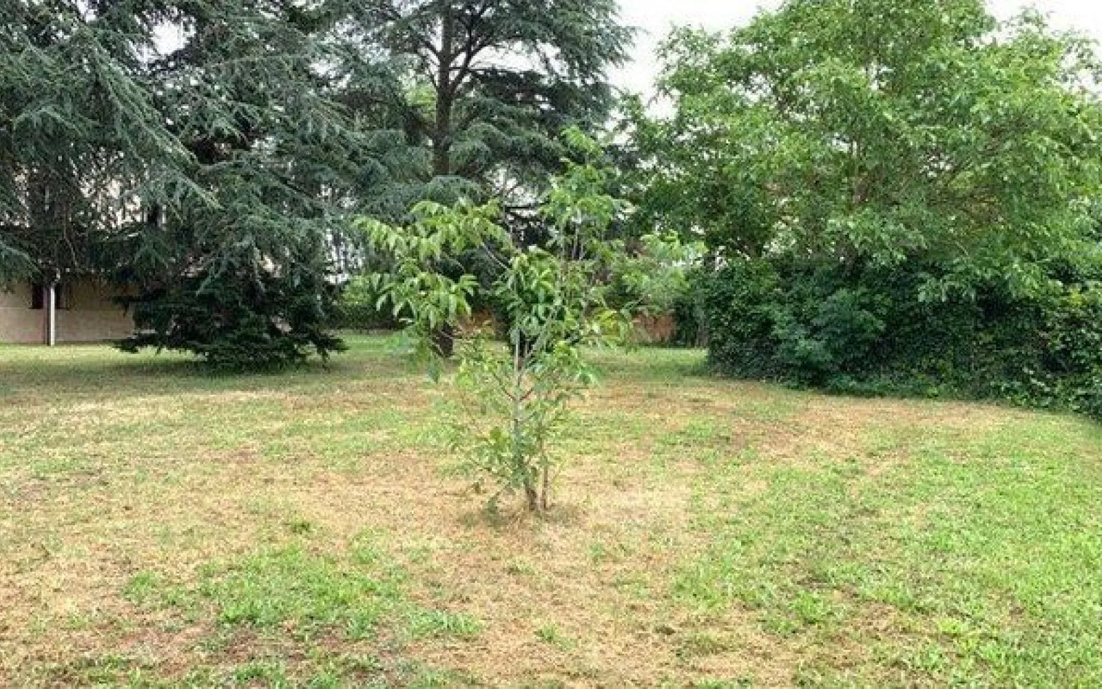 Terrain à bâtir de 352 m² à VILLEMOISSON-SUR-ORGE (91) à Villemoisson-sur-Orge — photo 1