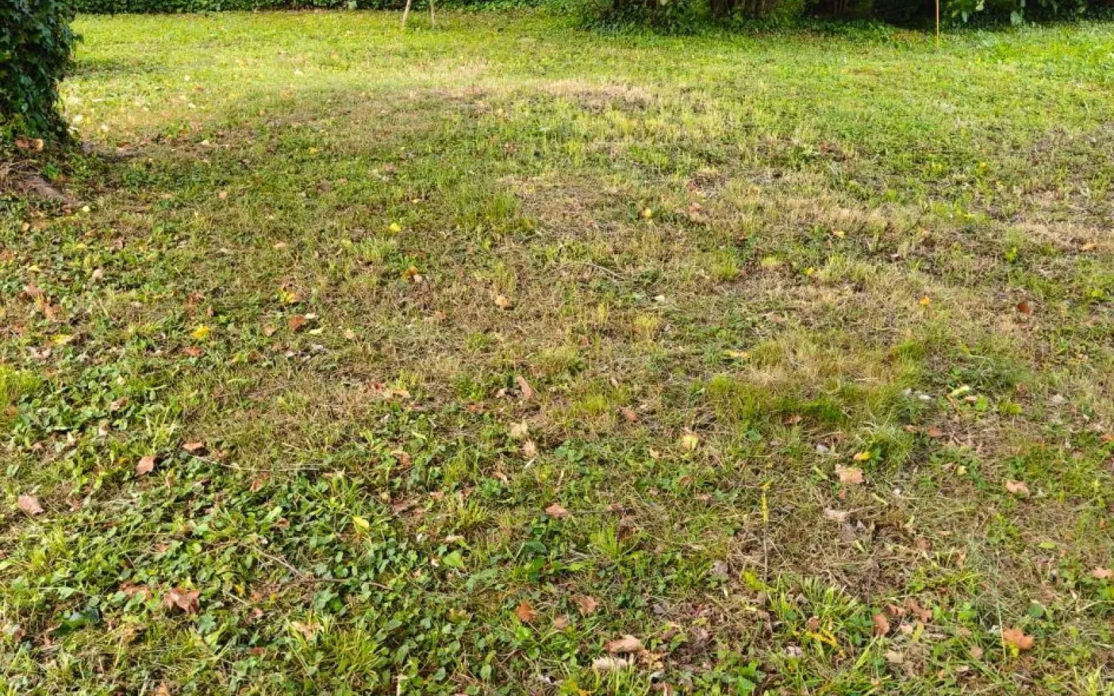Faites construire votre maison 90.27 m² avec terrain à MAULETTE (78) ! à Maulette — photo 2