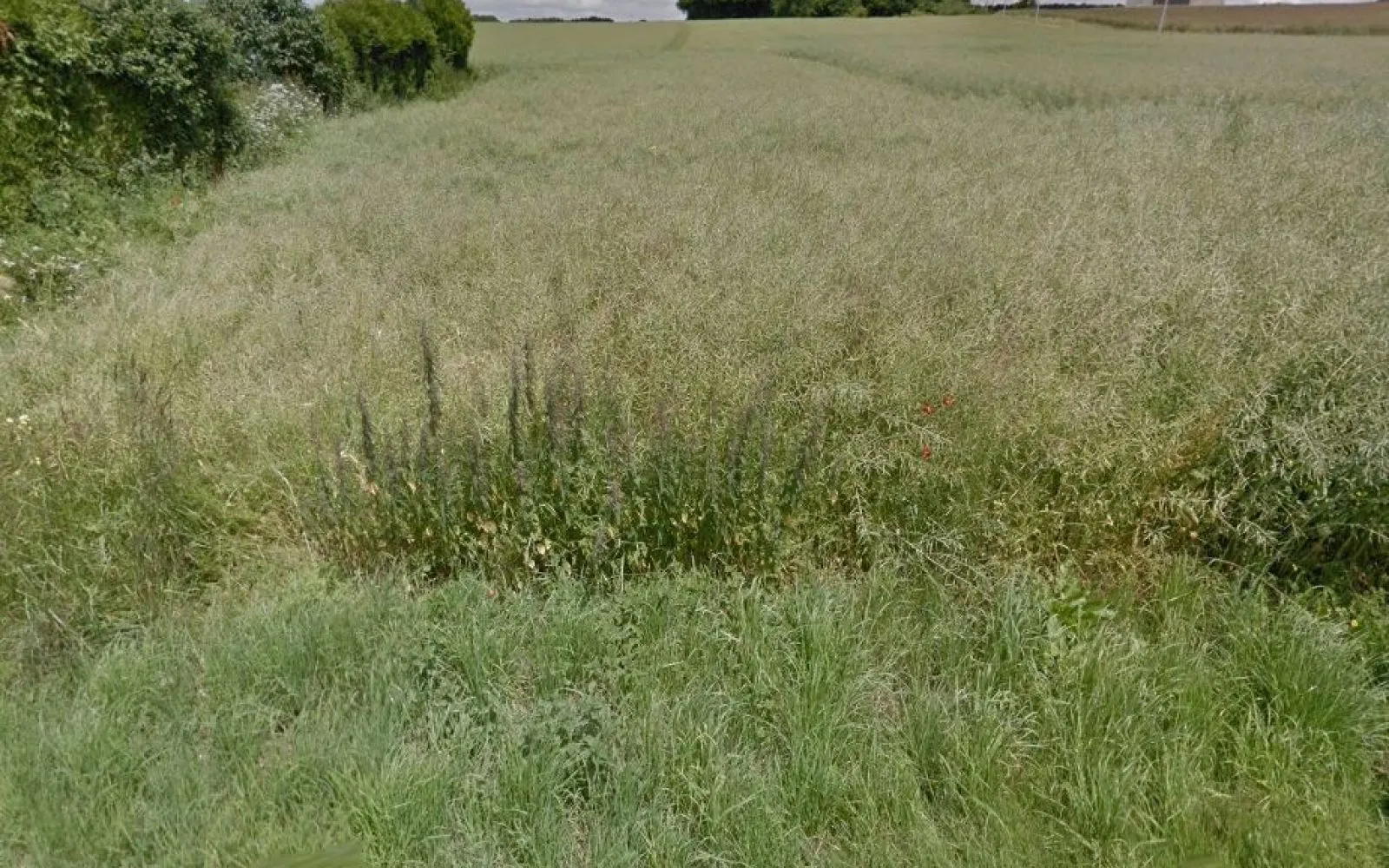 Faites construire votre maison 80.19 m² avec terrain à SAINT-ARNOULT-DES-BOIS (28) ! à Saint-Arnoult-des-Bois — photo 2