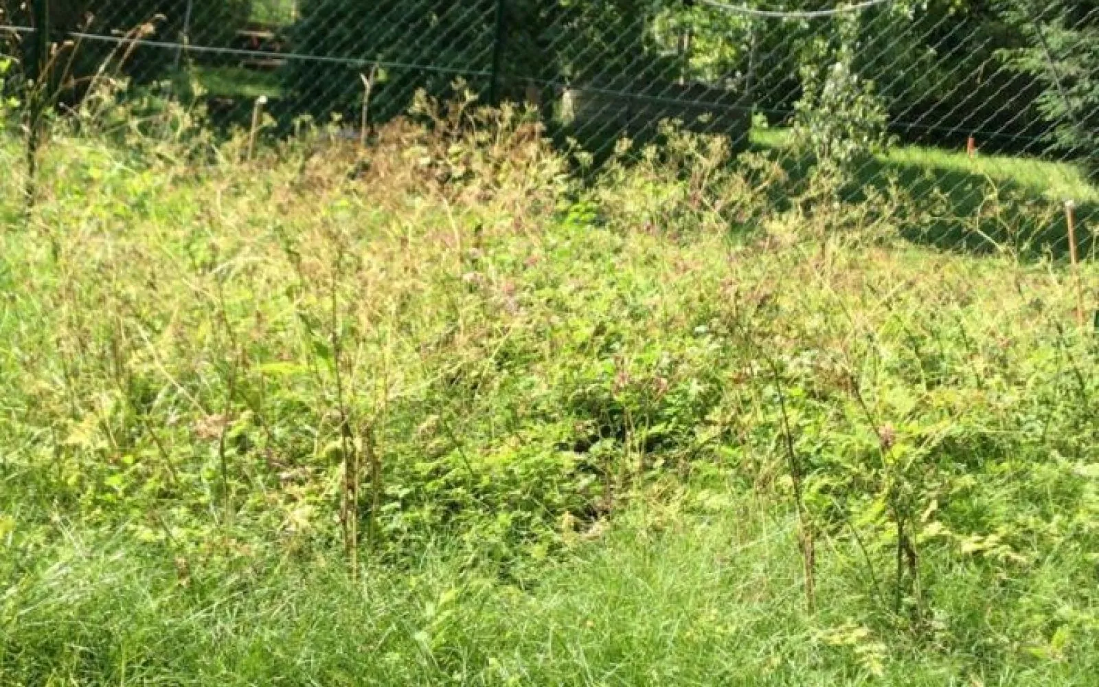 Faites construire votre maison 84.45 m² avec terrain à VARREDDES (77) ! à Varreddes — photo 2