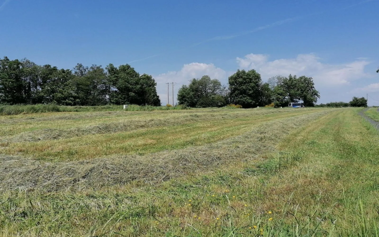 Terrain à bâtir de 620 m² à CASSAGNES-BEGONHES à Cassagnes-Bégonhès — photo 1