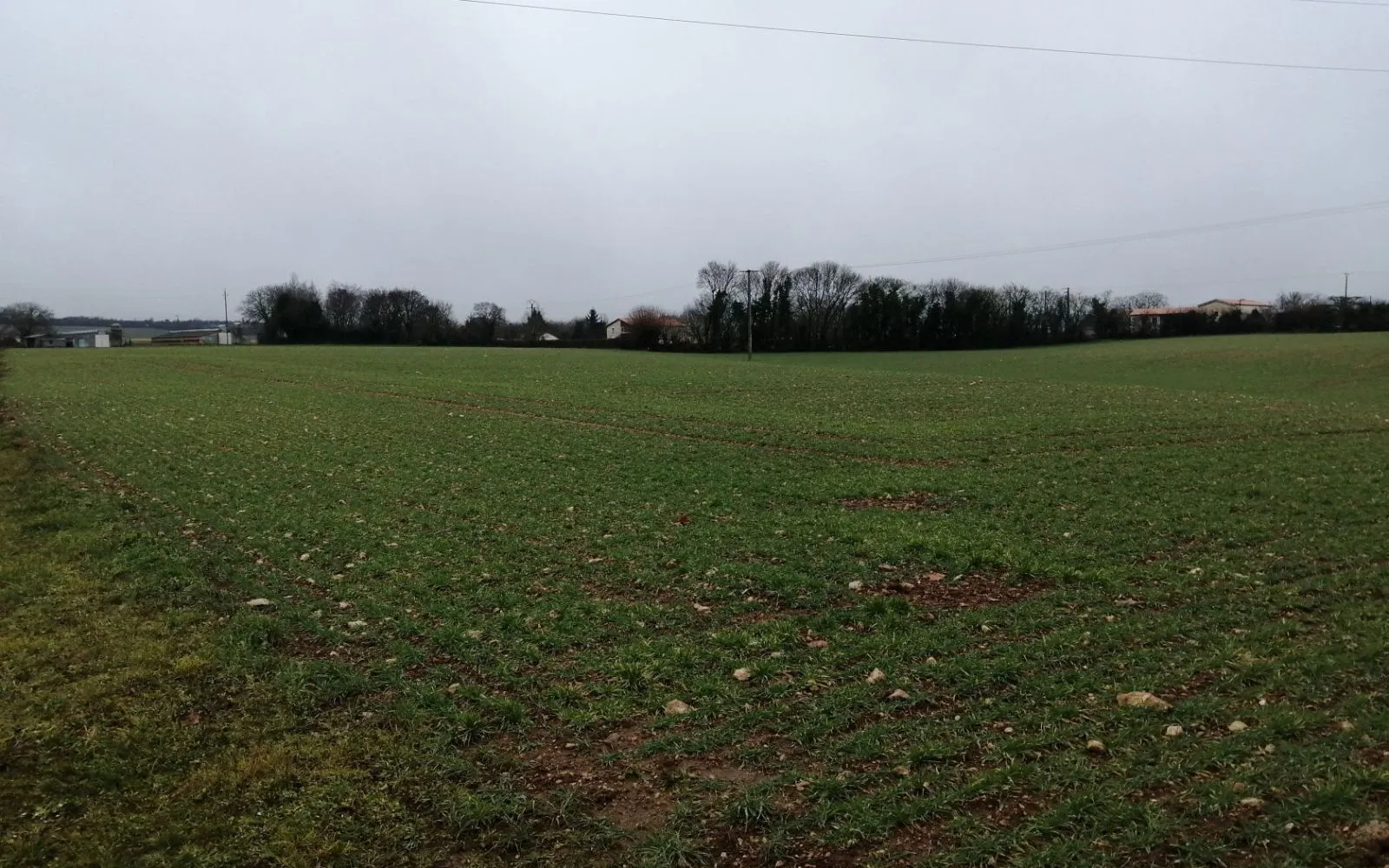 Maison 71 m² avec terrain à ECHIRE à Échiré — photo 4