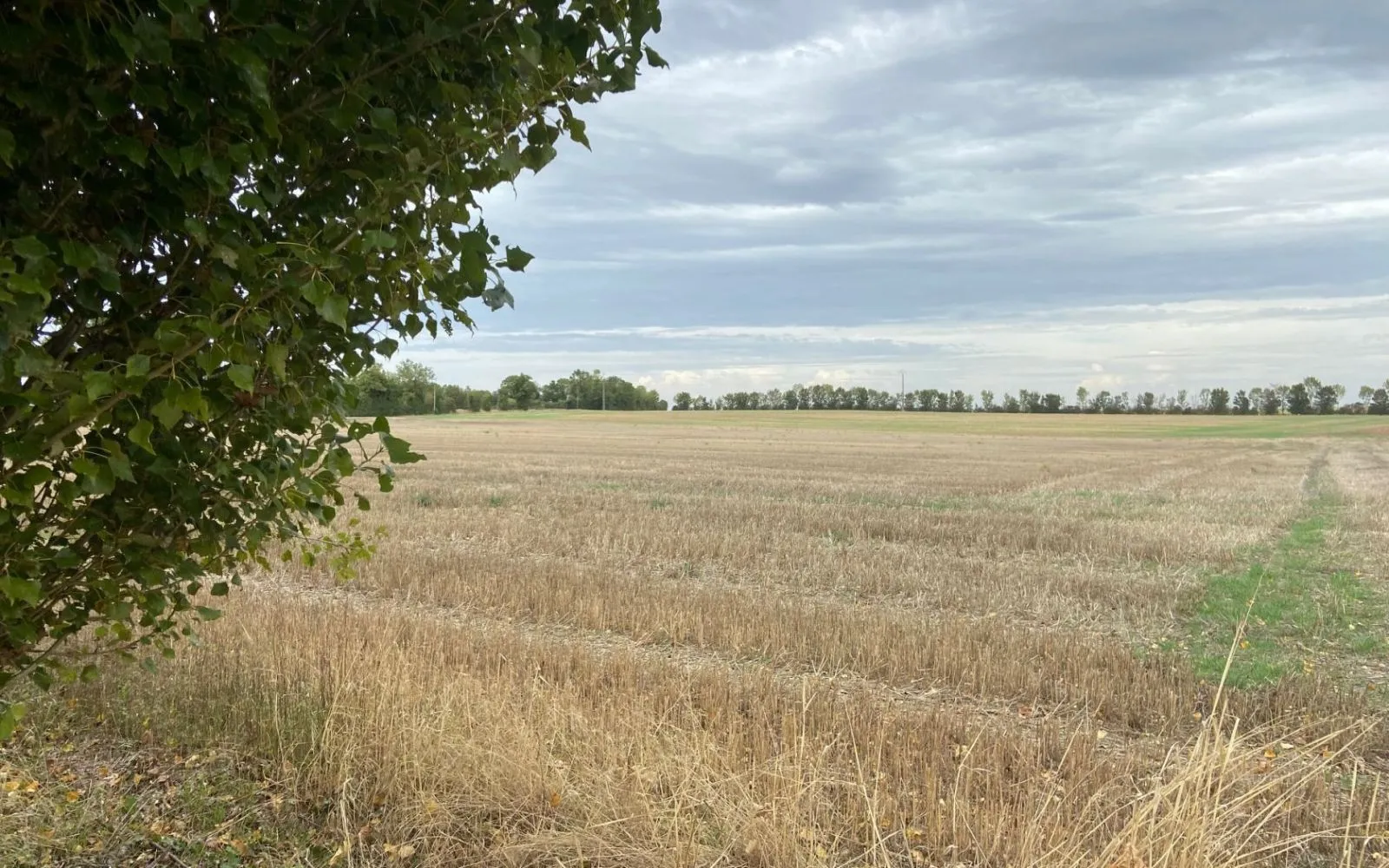 Maison 87.82 m² avec terrain à SAINT-REMY à Saint-Rémy — photo 6