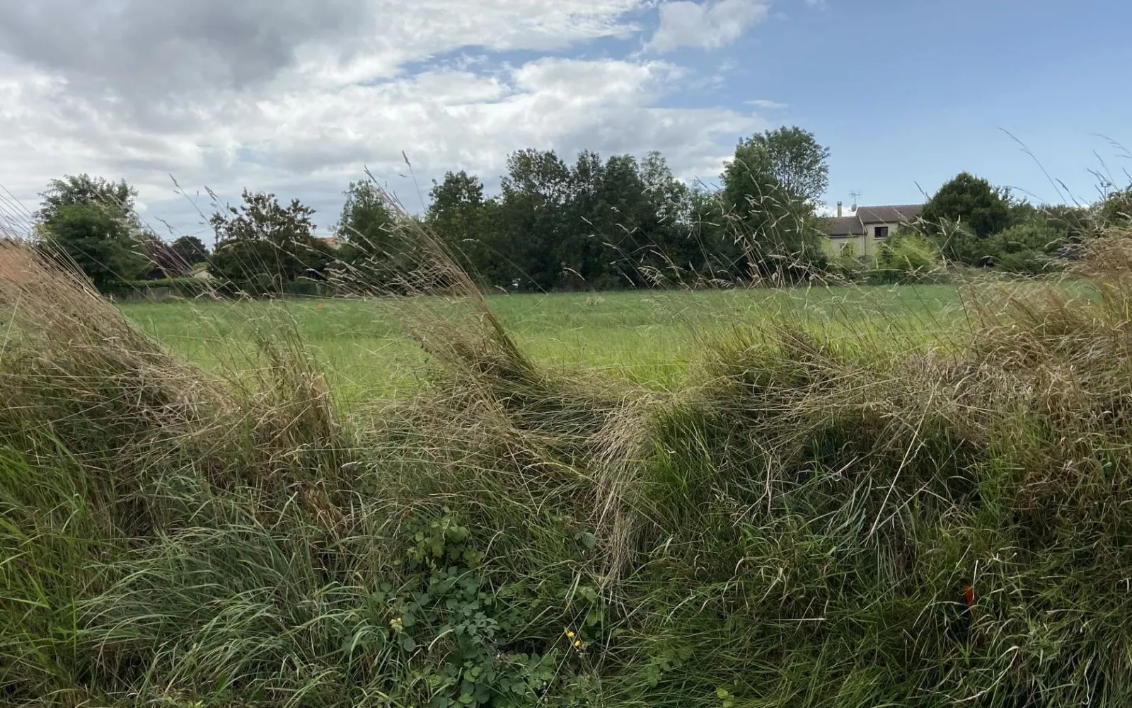 Maison 71 m² avec terrain à GRANZAY-GRIPT à Granzay-Gript — photo 7
