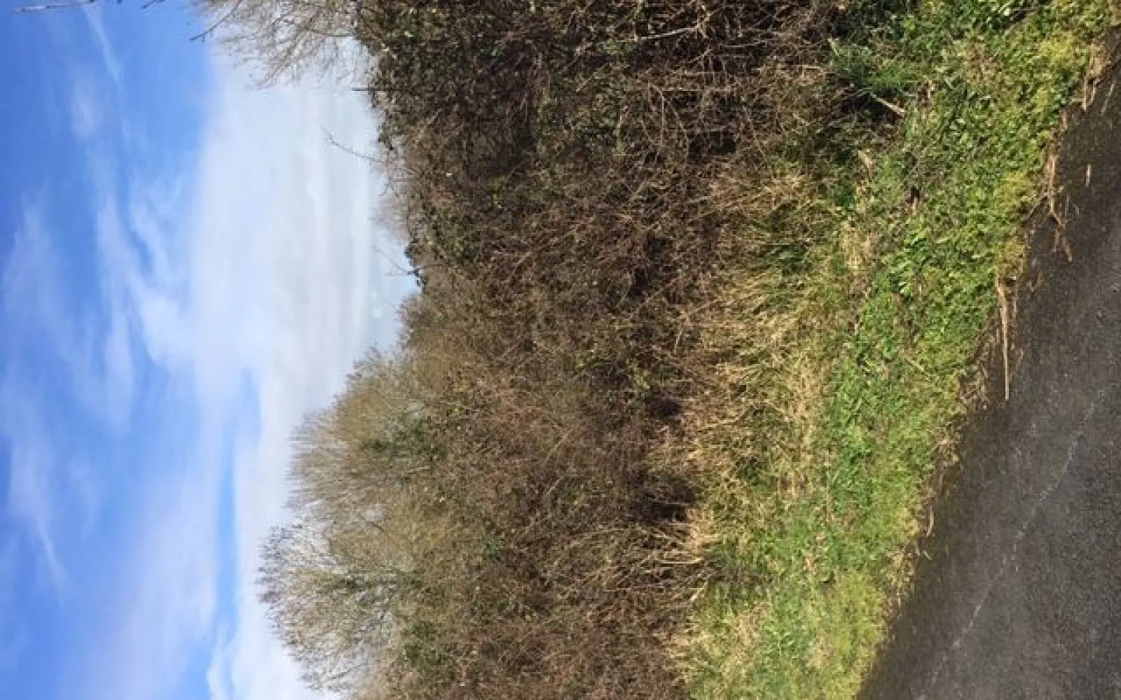 Terrain de 616 m² à SAINT-VALERIEN à Saint-Valérien — photo 1