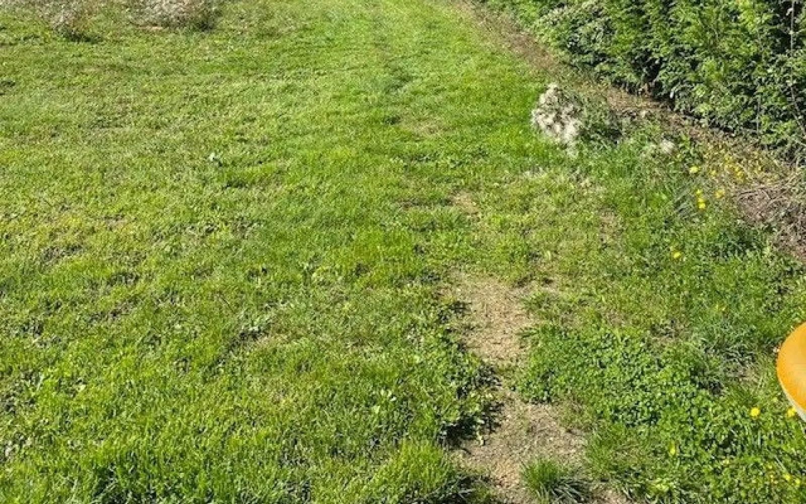 Terrain de 561 m² à PETOSSE à Petosse — photo 1