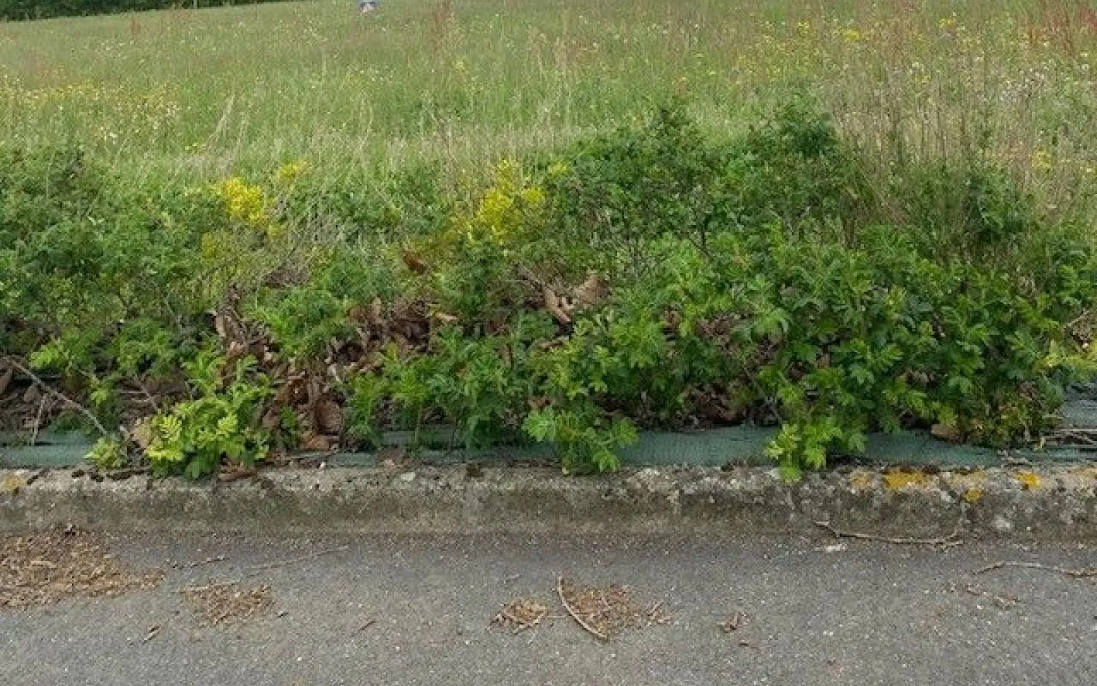 Terrain de 870 m² à SAINT-VALERIEN à Saint-Valérien — photo 1