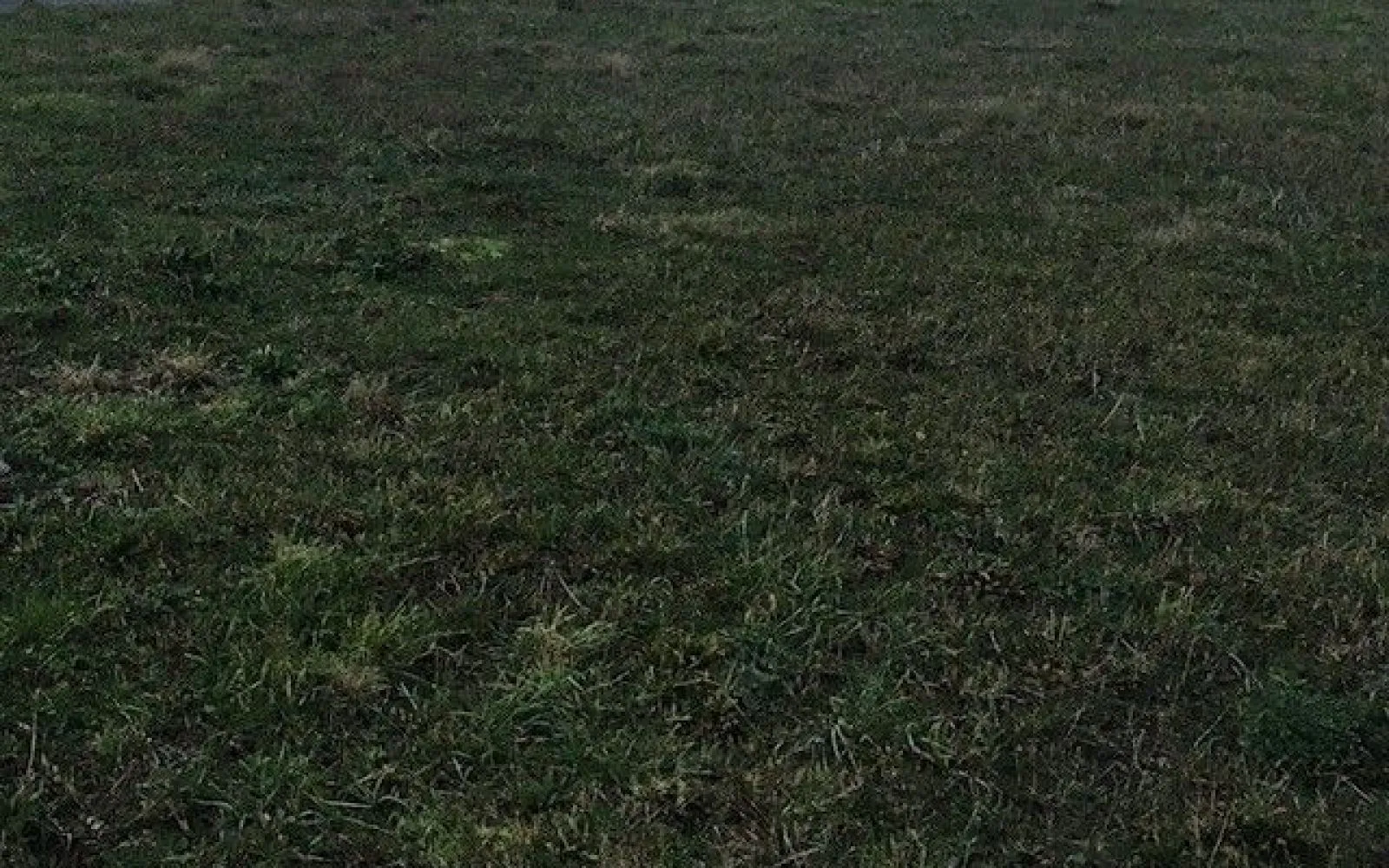 Terrain de 556 m² à PETOSSE à Petosse — photo 1