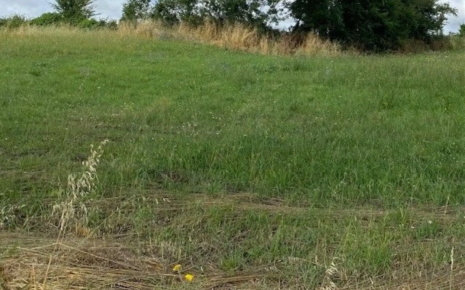 Terrain de 559 m² à PETOSSE à Petosse — photo 1