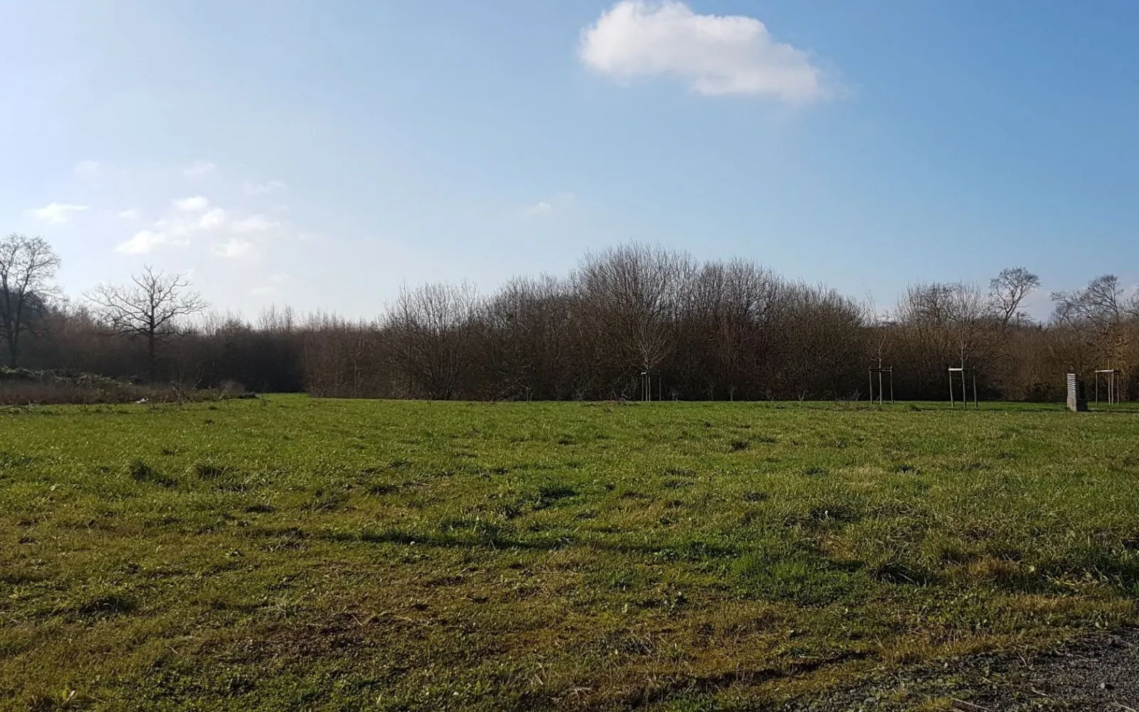 Maison 75 m² avec terrain à L'HOTELLERIE-DE-FLEE (49) à L'Hôtellerie-de-Flée — photo 3