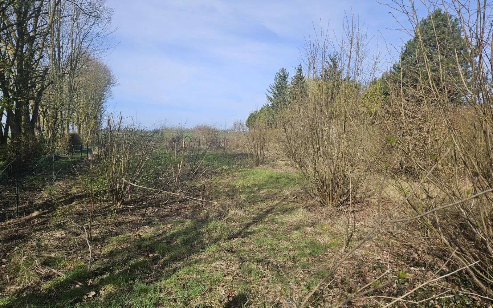 Terrain à bâtir de 2386 m² à REVELLES (80) à Revelles — photo 1
