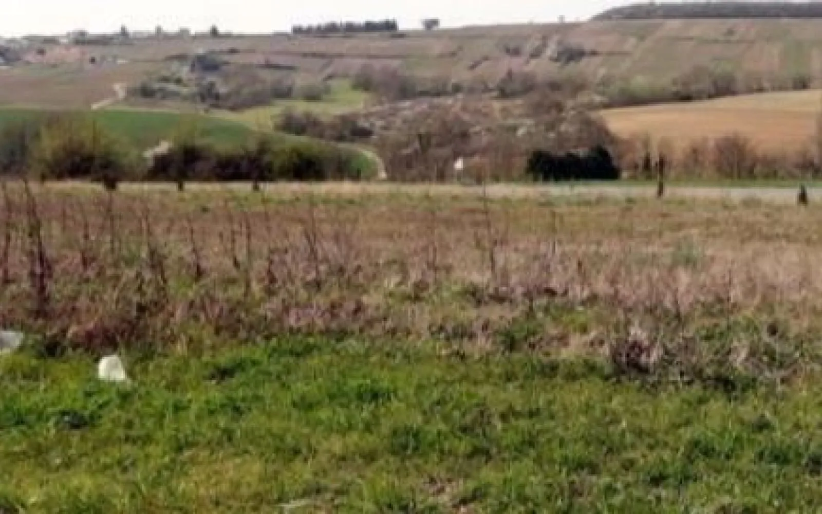 Terrain à bâtir de 904 m² à CHATILLON-SUR-MARNE (51) à Châtillon-sur-Marne — photo 1