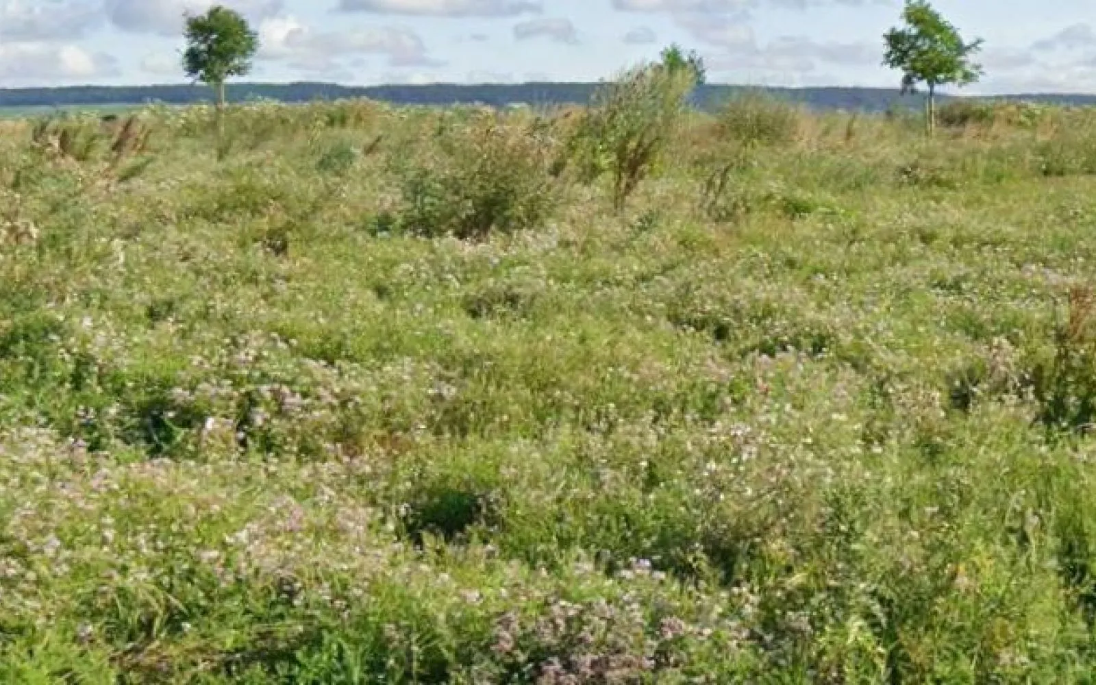 Terrain à bâtir de 770 m² à CONDE-SUR-MARNE (51) à Condé-sur-Marne — photo 1