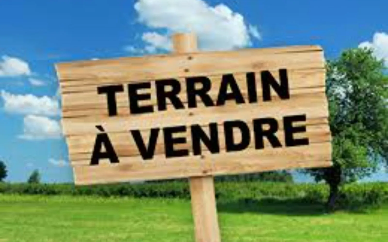 Maison 100 m² avec terrain à SURVILLIERS (95) à Survilliers — photo 4