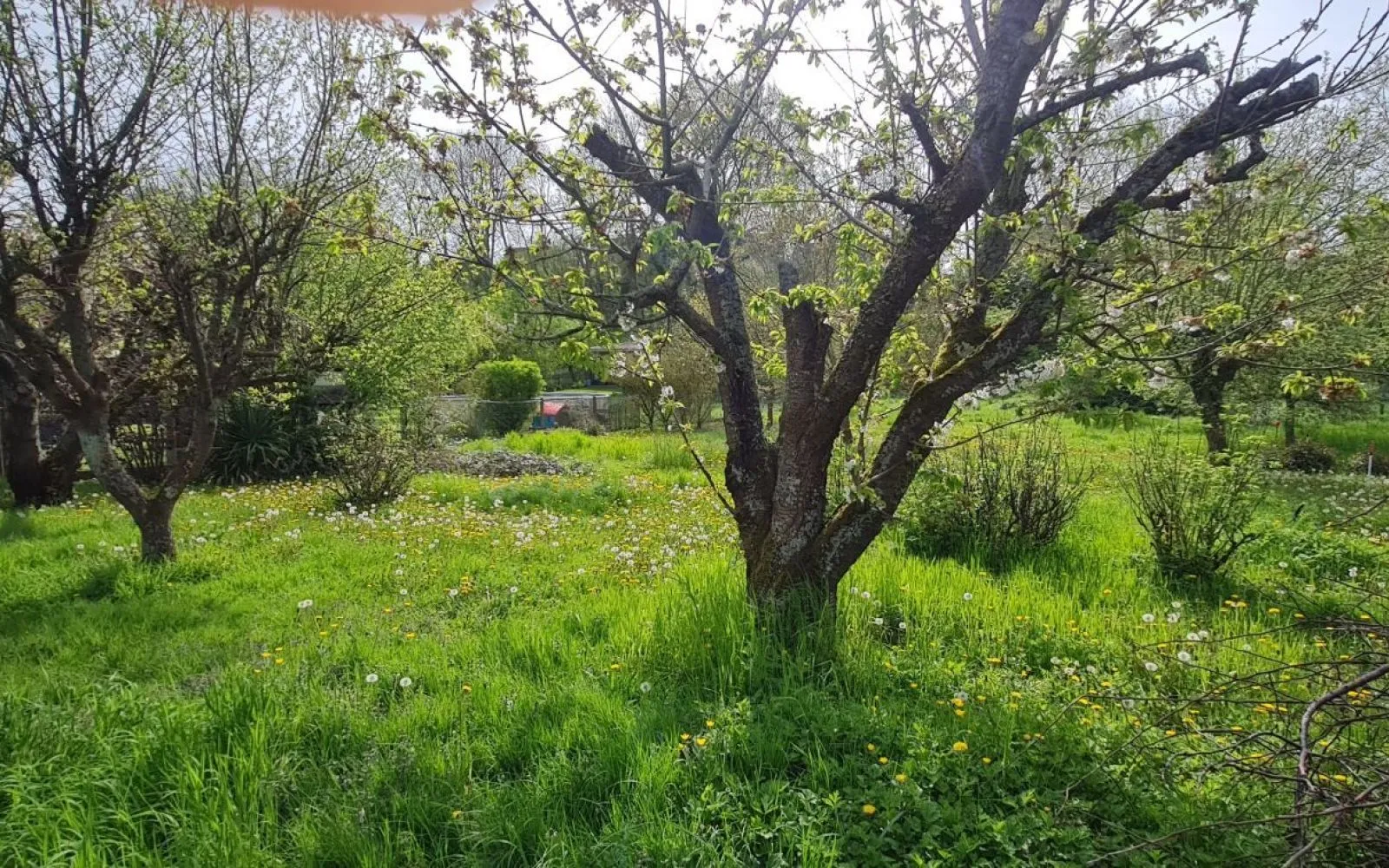 Terrain à bâtir de 464 m² à CLERMONT (60) à Clermont — photo 3