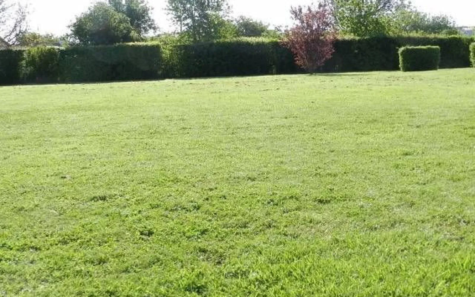 Maison 79 m² avec terrain à ETREPILLY (77) à Étrépilly — photo 3