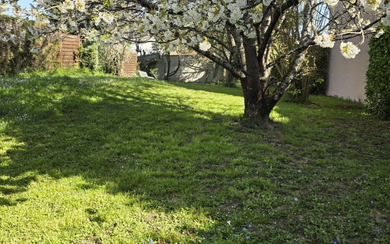Maison 83 m² avec terrain à LUMIGNY-NESLES-ORMEAUX (77) à Lumigny-Nesles-Ormeaux — photo 3