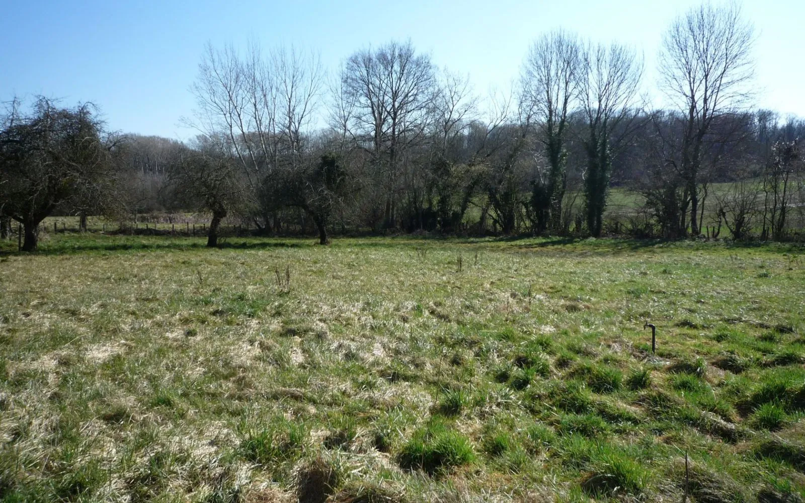 Terrain à bâtir de 1160 m² à ESSOMES-SUR-MARNE (02) à Essomes-sur-Marne — photo 1