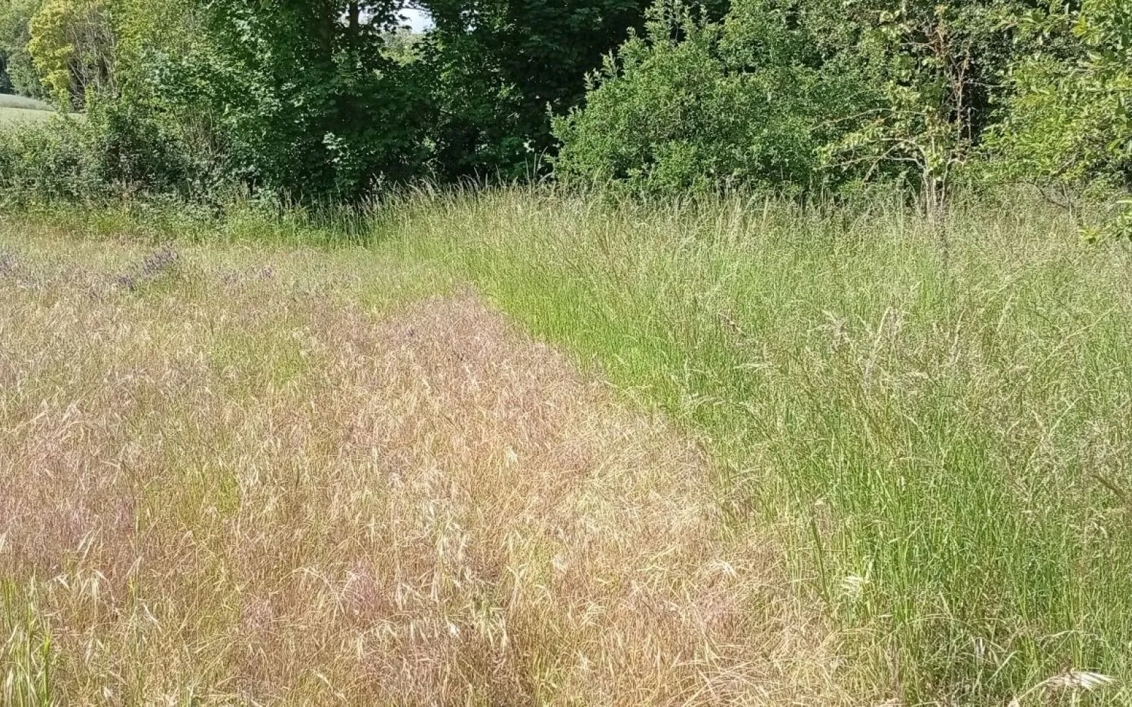 Terrain à bâtir de 840 m² à CREZANCY (02) à Crezancy — photo 2
