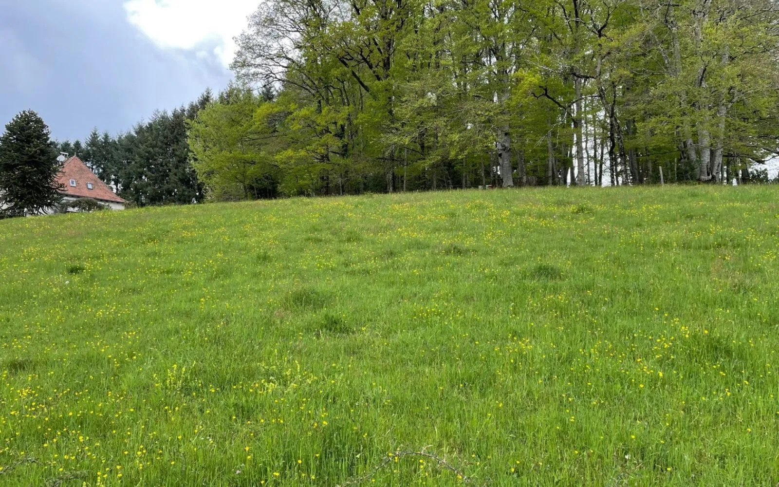 Terrain à bâtir de 1774 m² à LAFEUILLADE-EN-VEZIE (15) à Lafeuillade-en-Vézie — photo 1