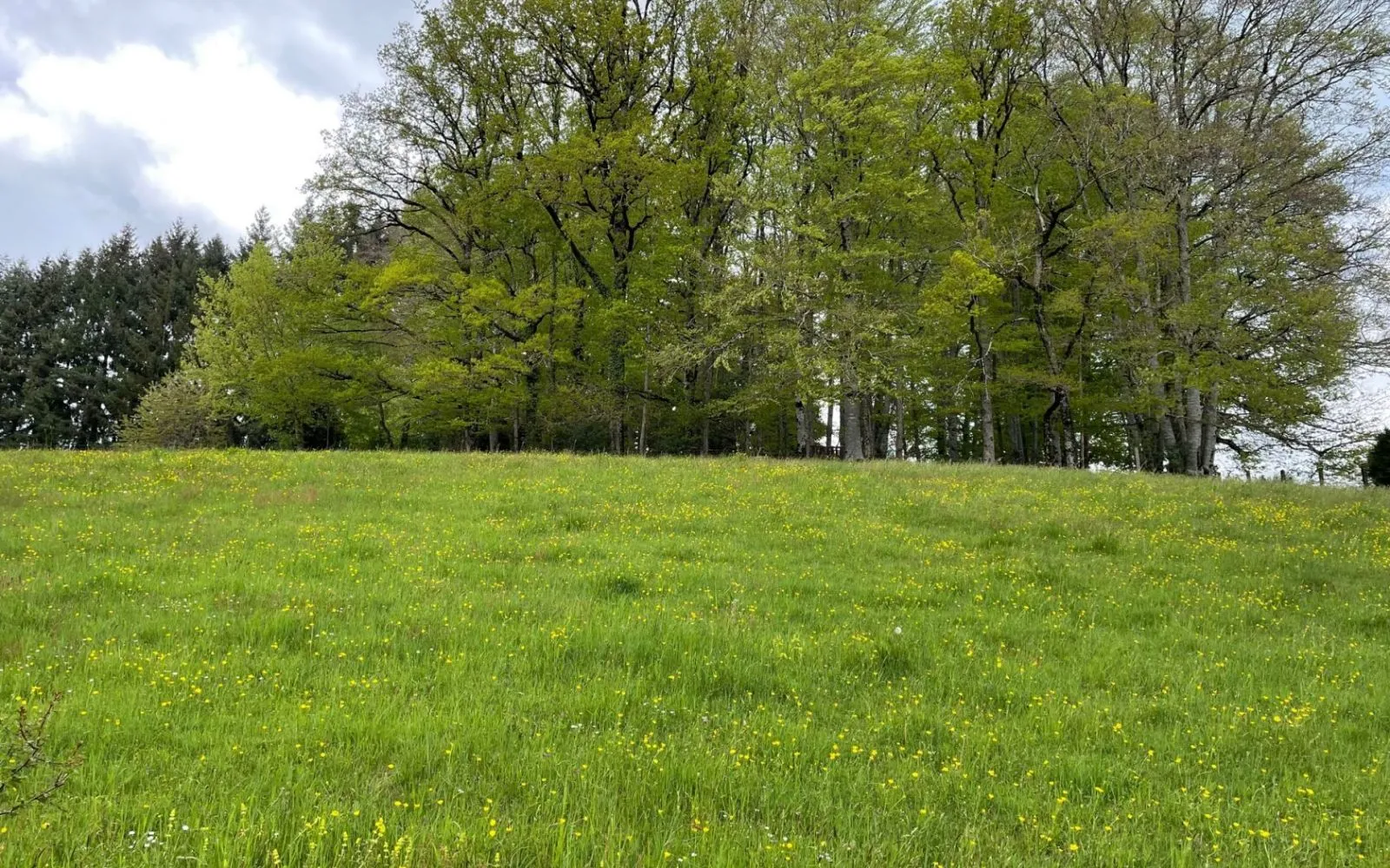 Terrain à bâtir de 1385 m² à LAFEUILLADE-EN-VEZIE (15) à Lafeuillade-en-Vézie — photo 3