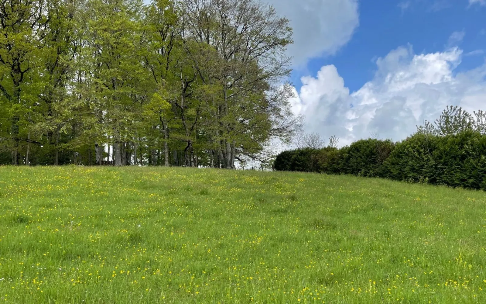 Terrain à bâtir de 1385 m² à LAFEUILLADE-EN-VEZIE (15) à Lafeuillade-en-Vézie — photo 4