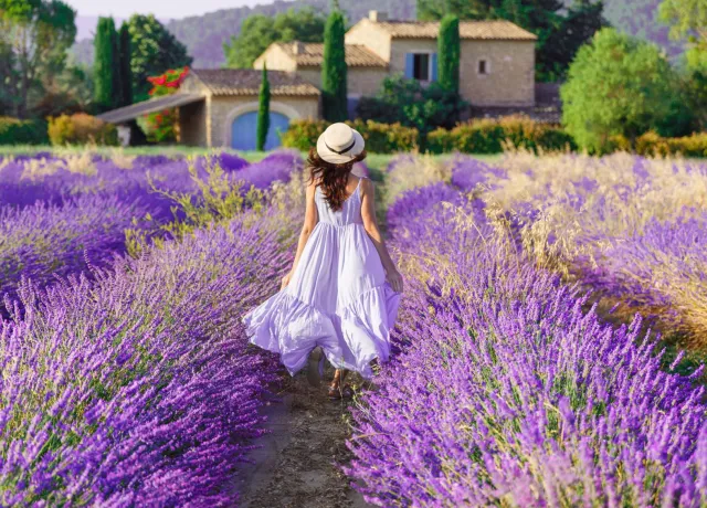 Construire maison neuve Alpes de Haute Provence - 04