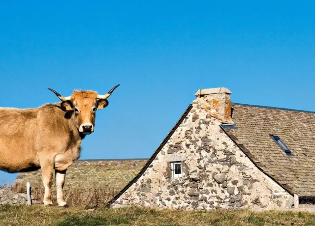 Construction de maison en Aveyron (12) : Guide complet