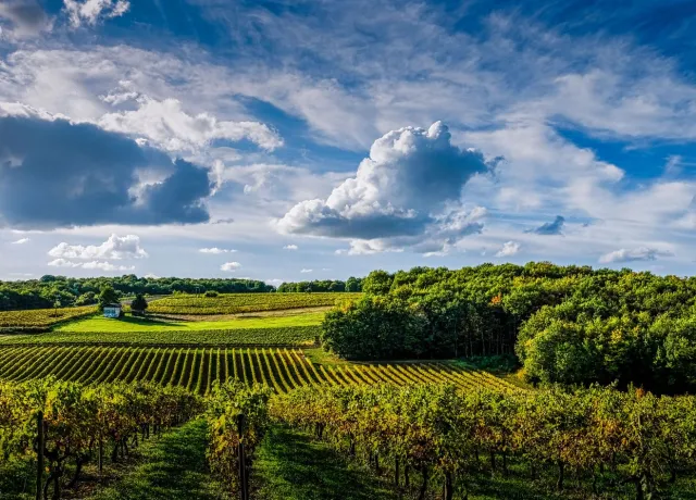 Construction maison neuve en Charente - Réalisez votre rêve