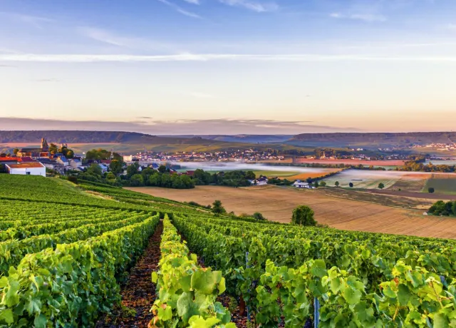 Construction maison neuve Marne (51) – Guide complet