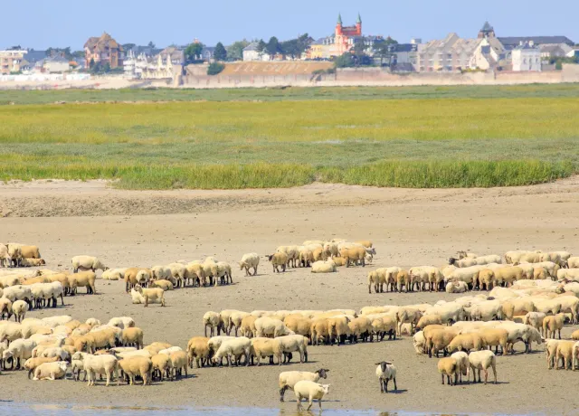 Construisez votre maison neuve avec terrain dans la Somme (80)