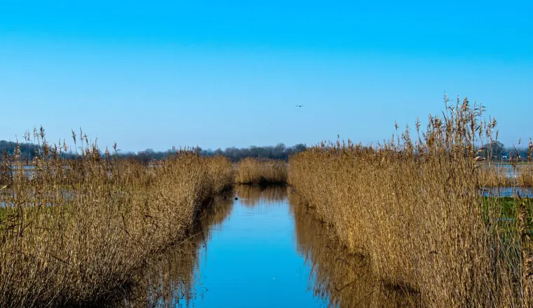 Faire construire une maison neuve à Challans (85)