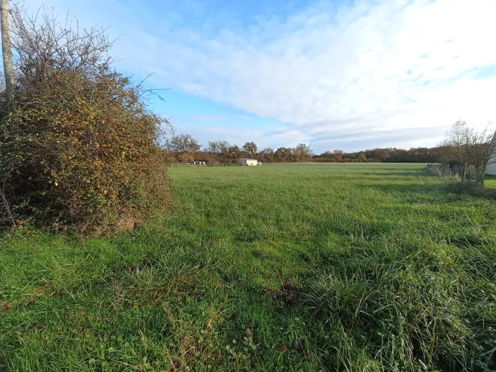 Image du terrain Terrain à bâtir de 2363 m² à VERNOIL-LE-FOURRIER (49)