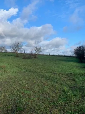 Image du modèle de maison Terrain1