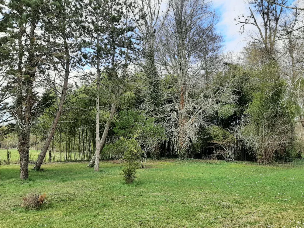 Image du terrain Terrain à bâtir de 600 m² à SAUTERNES (33)